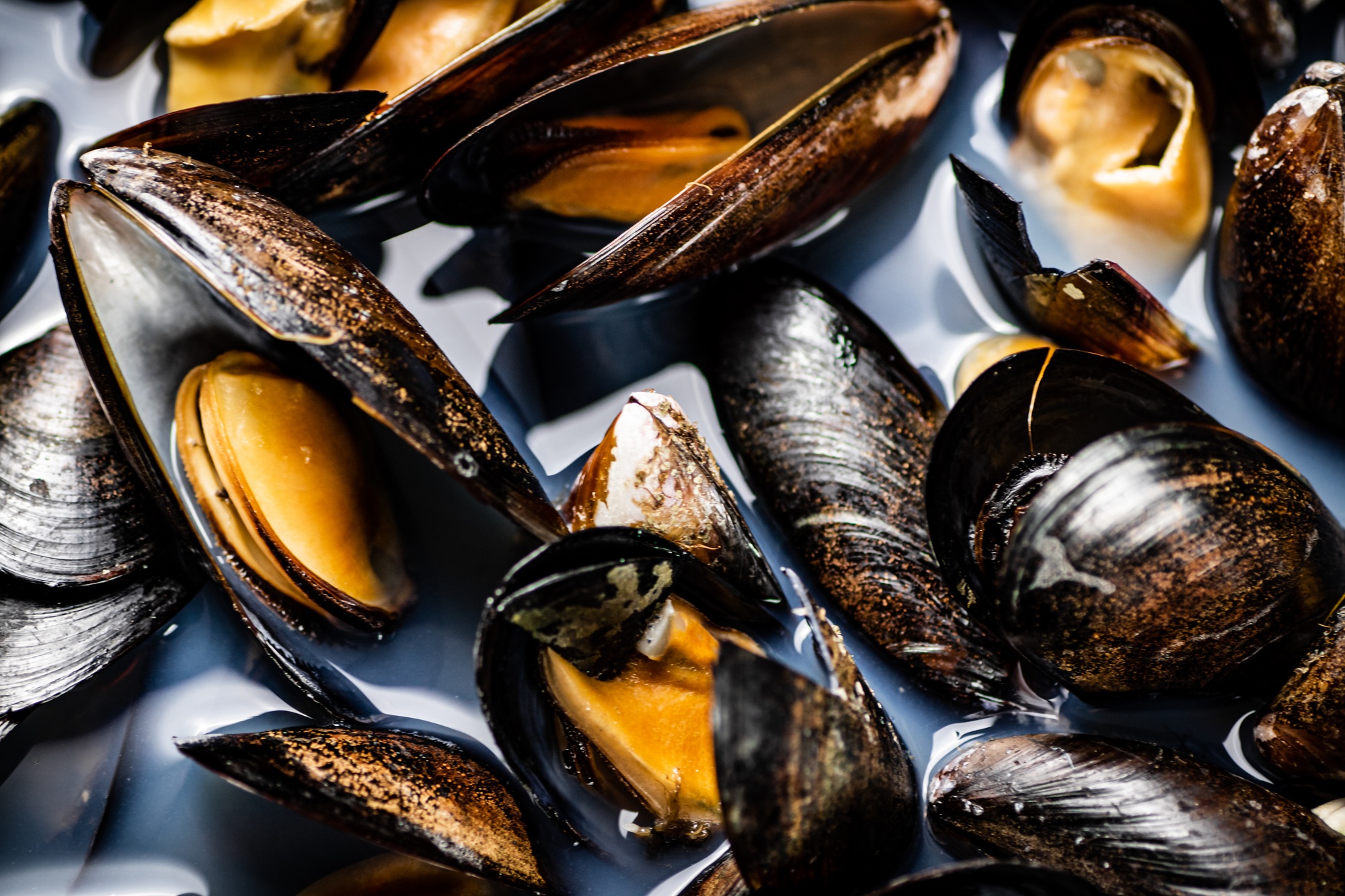 Delicious mussels are boiled in a pot of water.